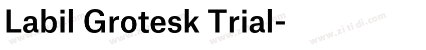 Labil Grotesk Trial字体转换